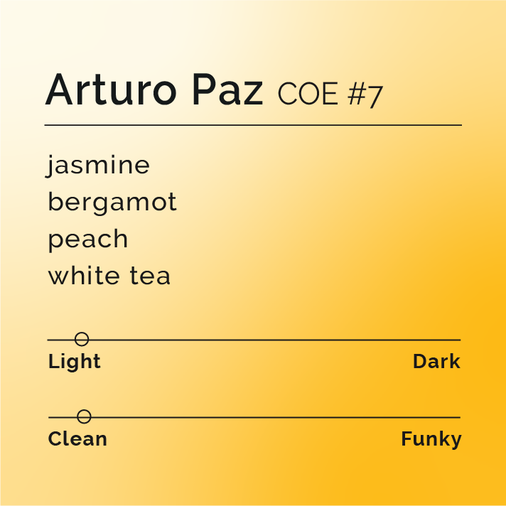 Arturo Paz - COE #7 coffee packaging, highlighting its specialty Gesha lot from Santa Barbara, Honduras, produced by Angel Arturo Paz, emphasizing quality and unique flavor profile.