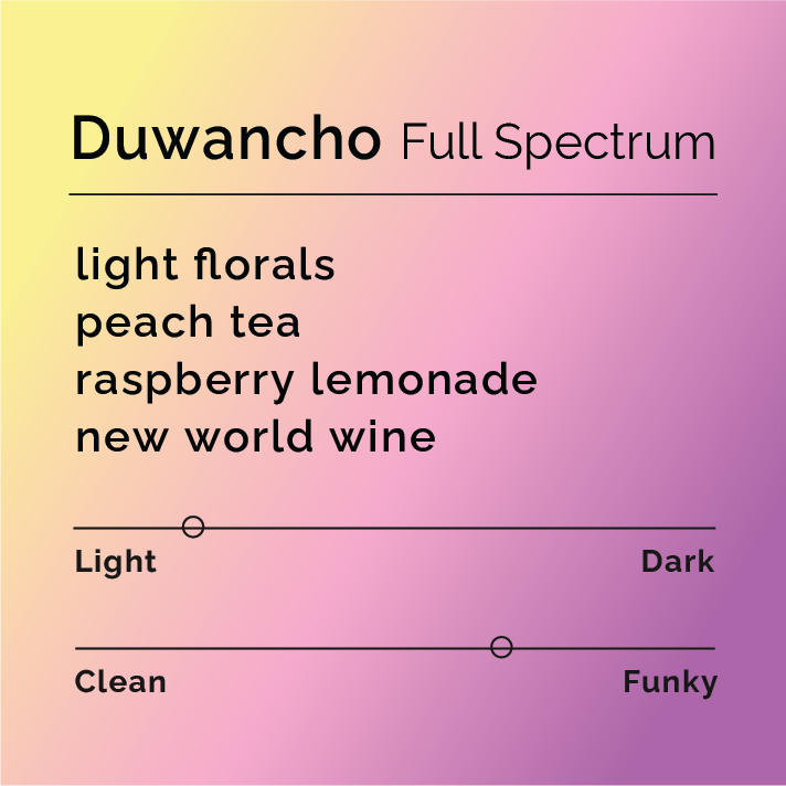 Product label for Duwancho - Full Spectrum with flavor description, mild funk, and lighter roast, on a color gradient background.