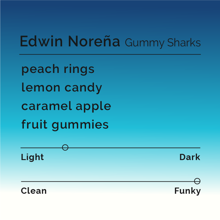 Edwin Noreña - Gummy Sharks coffee blend featuring fermented green apple and berry flavors, showcasing innovative co-fermentation techniques by expert agronomist Edwin Noreña from Colombia.