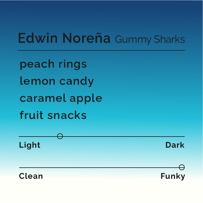 Product label for Edwin Noreña - Gummy Sharks with flavor description, high funk, and lighter roast, on a color gradient background.