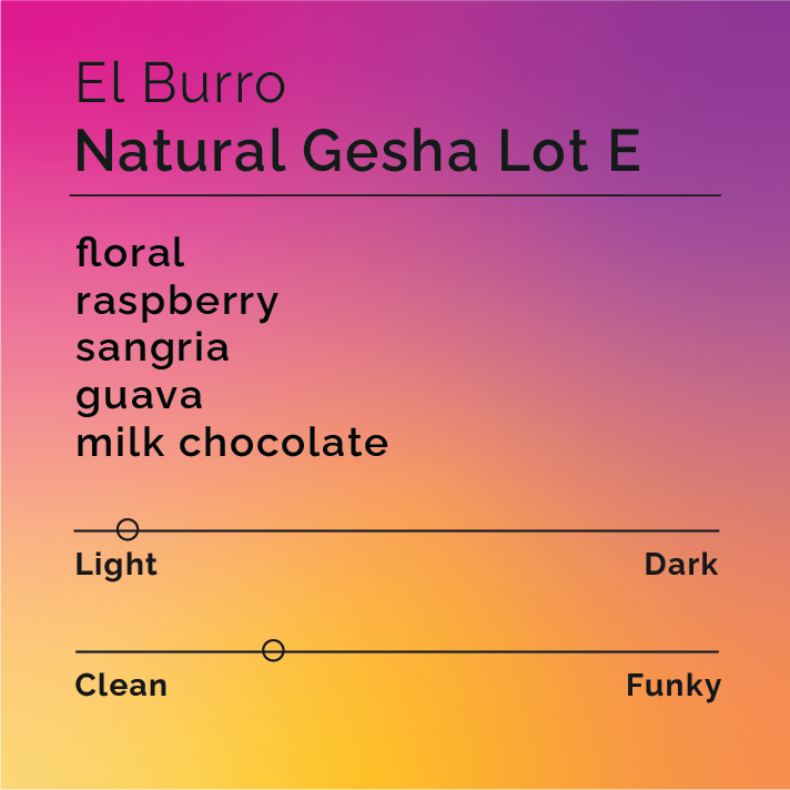 Product label for El Burro - Natural Gesha Lot E with flavor description, mild funk, and lighter roast, on a color gradient background.