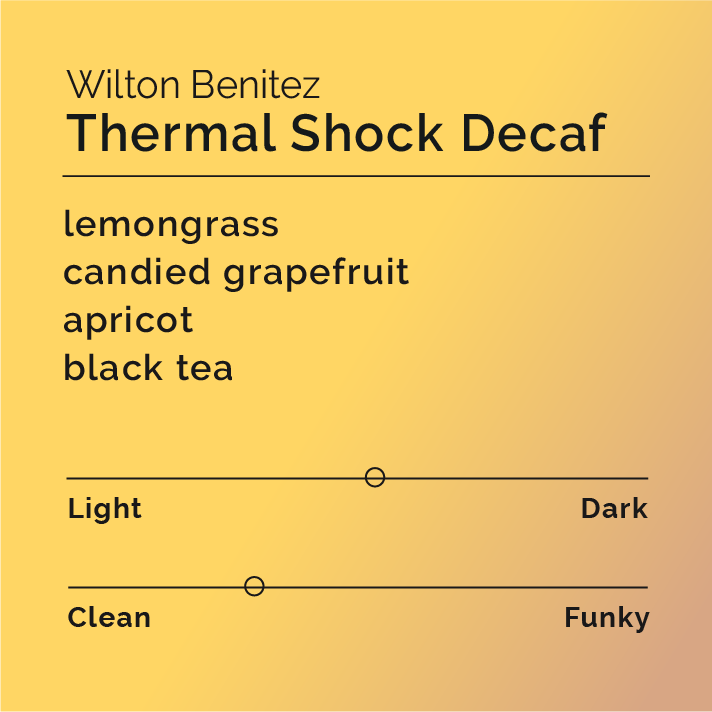 Wilton Benitez Bundle featuring two coffee bags labeled Pink Bourbon and Castillo, showcasing specialty coffee processing from Cauca, Colombia.