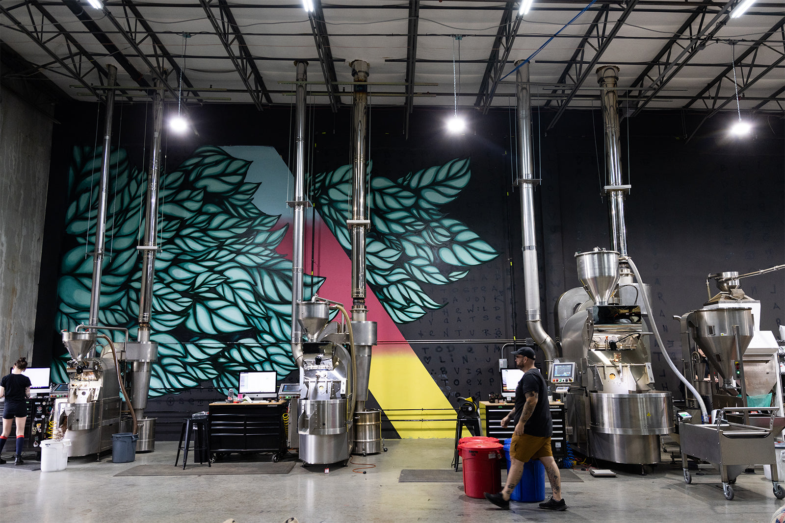 A photo of a roasting facility with brightly colored grafitti on the wall in the shape of coffee leaves. The scene has three different sized roasters and a man walking across the floor to one of them.