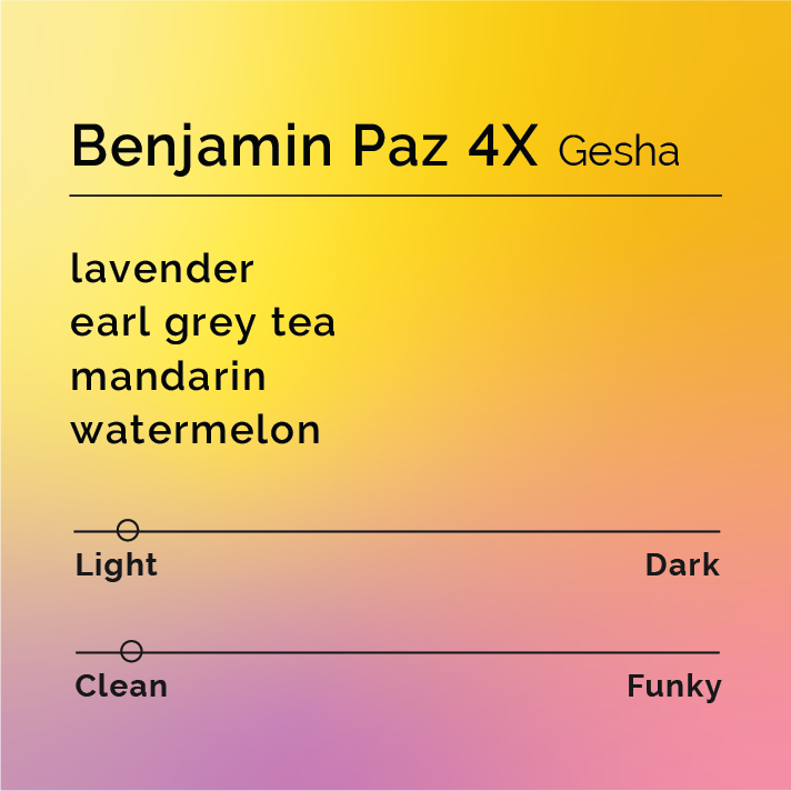 Benjamin Paz 4X Gesha tasting card shows flavors: lavender, earl grey tea, mandarin, watermelon. Roast level: Light. Flavor: Clean. Background gradient.