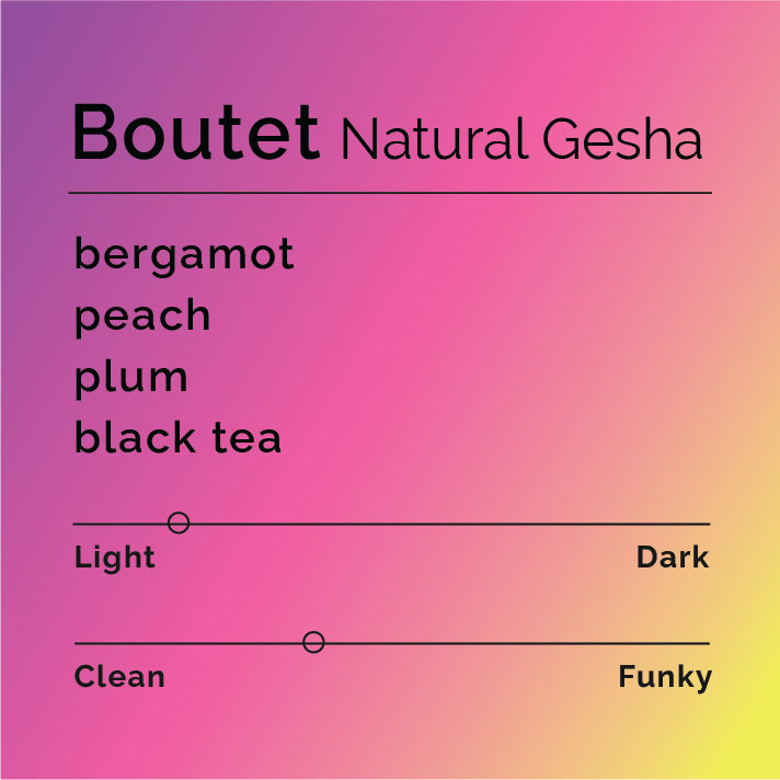 Product label for Boutet - Natural Gesha with flavor description, mild funk, and lighter roast, on a color gradient background.