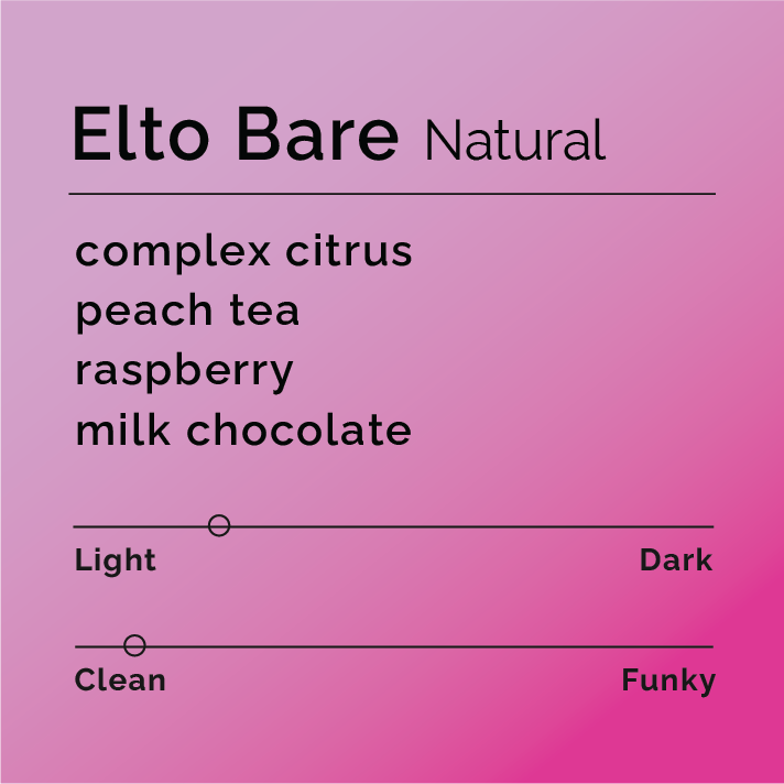 Product label for Elto Bare - Natural with flavor description, mild funk, and lighter roast, on a color gradient background.