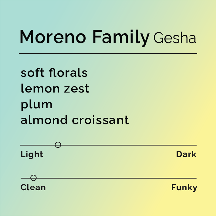 Product label for Moreno Family - Gesha with flavor description, ckean funk, and lighter roast, on a color gradient background.