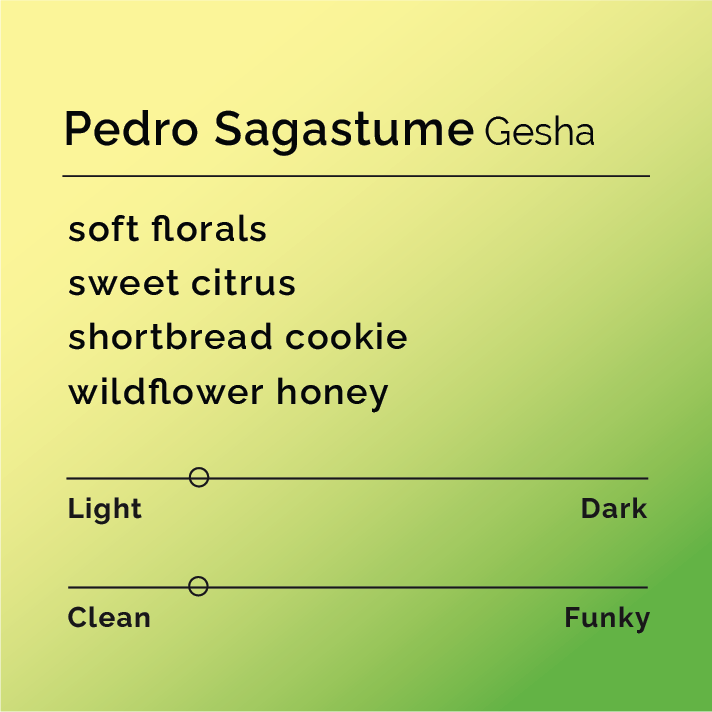 Product label for Pedro Sagastume - Gesha with flavor description, clean funk, and lighter roast, on a color gradient background.