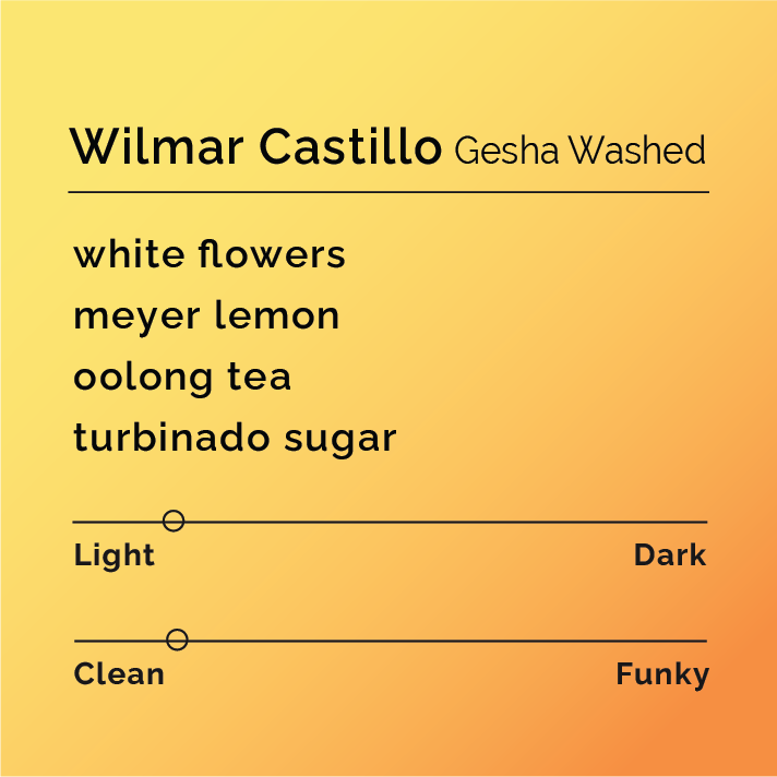 Wilmar Castillo Gesha Washed coffee profile card highlighting notes: white flowers, Meyer lemon, oolong tea, turbinado sugar; sliders show light roast, clean cup character.